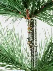 Елка искуственная, новогодняя, 210 см, Velvet Pinewood, с инеем и шишками, ЗОЛОТАЯ СКАЗКА