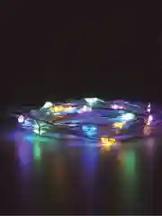 Электрогирлянда комнатная ЗОЛОТАЯ СКАЗКА "Роса", 2 м, 20 LED, на батарейках