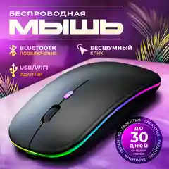 Мышь компьютерная, бесшумная, беспроводная, RGB-подсветка, USB зарядка