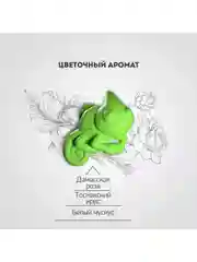 Ароматизатор антистресс для авто GekoFan Green