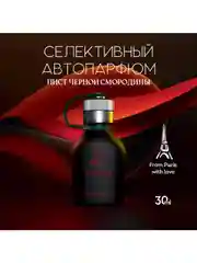 Ароматизатор в машину, автопарфюм Blackcurrant Leaves