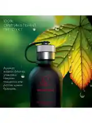 Ароматизатор в машину, автопарфюм Blackcurrant Leaves