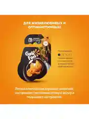 Ароматизатор антистресс для авто GekoFan