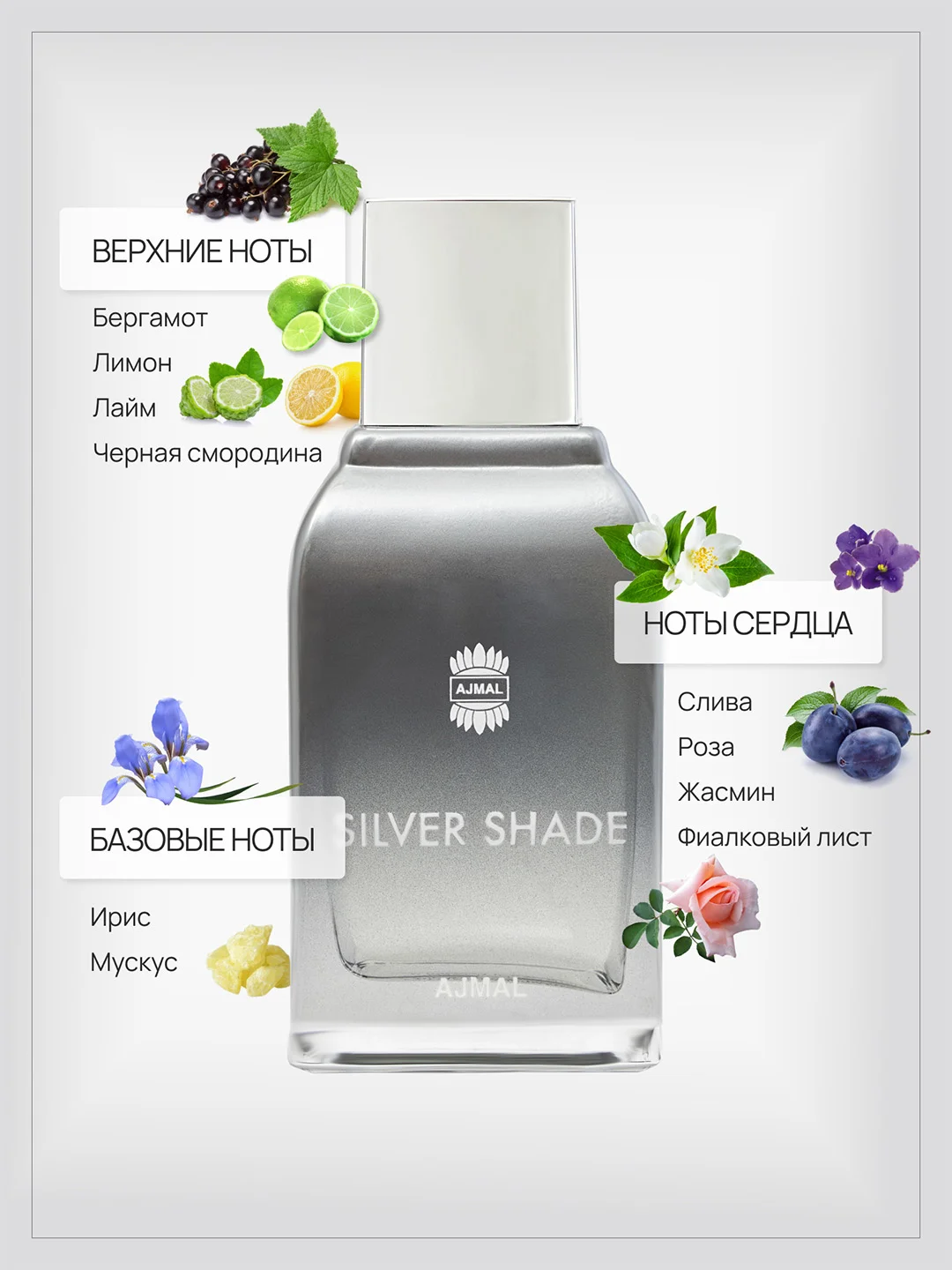 Парфюмерная вода Ajmal Silver Shade, мужская, 100 мл