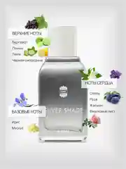 Парфюмерная вода Ajmal Silver Shade, мужская, 100 мл