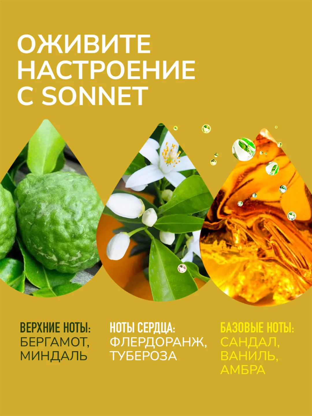 Парфюмерная вода AJMAL SONNET, женская, 100 мл