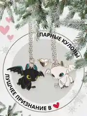 Парные кулоны на цепочке "Ночная фурия" с магнитом/ Символ года 2024