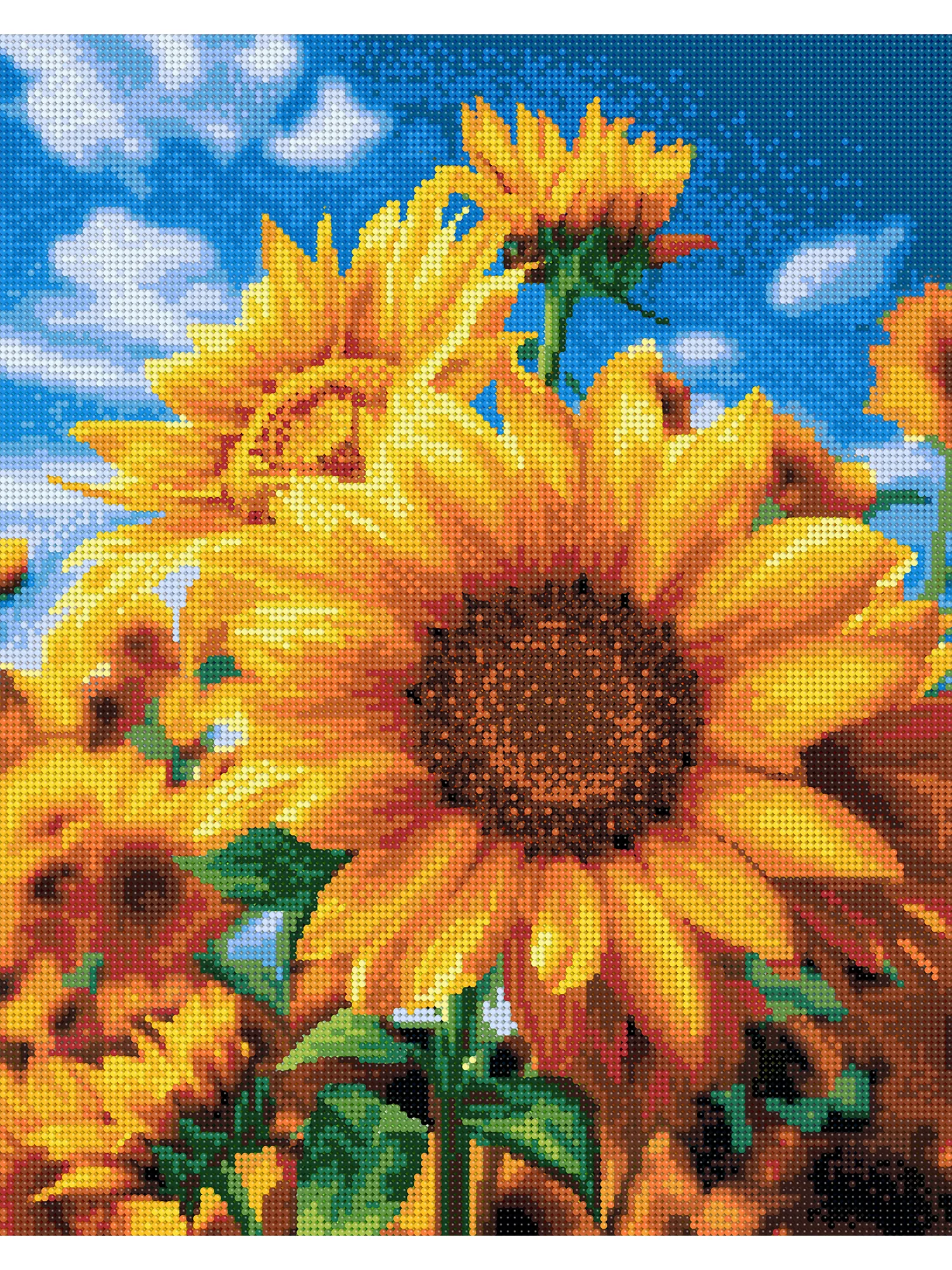 Садовые подсолнухи Алмазная мозаика на подрамнике 40х50 "Art on Canvas"