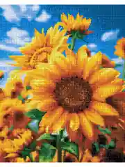 Садовые подсолнухи Алмазная мозаика на подрамнике 40х50 "Art on Canvas"