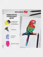 Скетчбук А5 для рисования Brauberg Art, 116365, на спирали 60 листов блокнот для скетчинга
