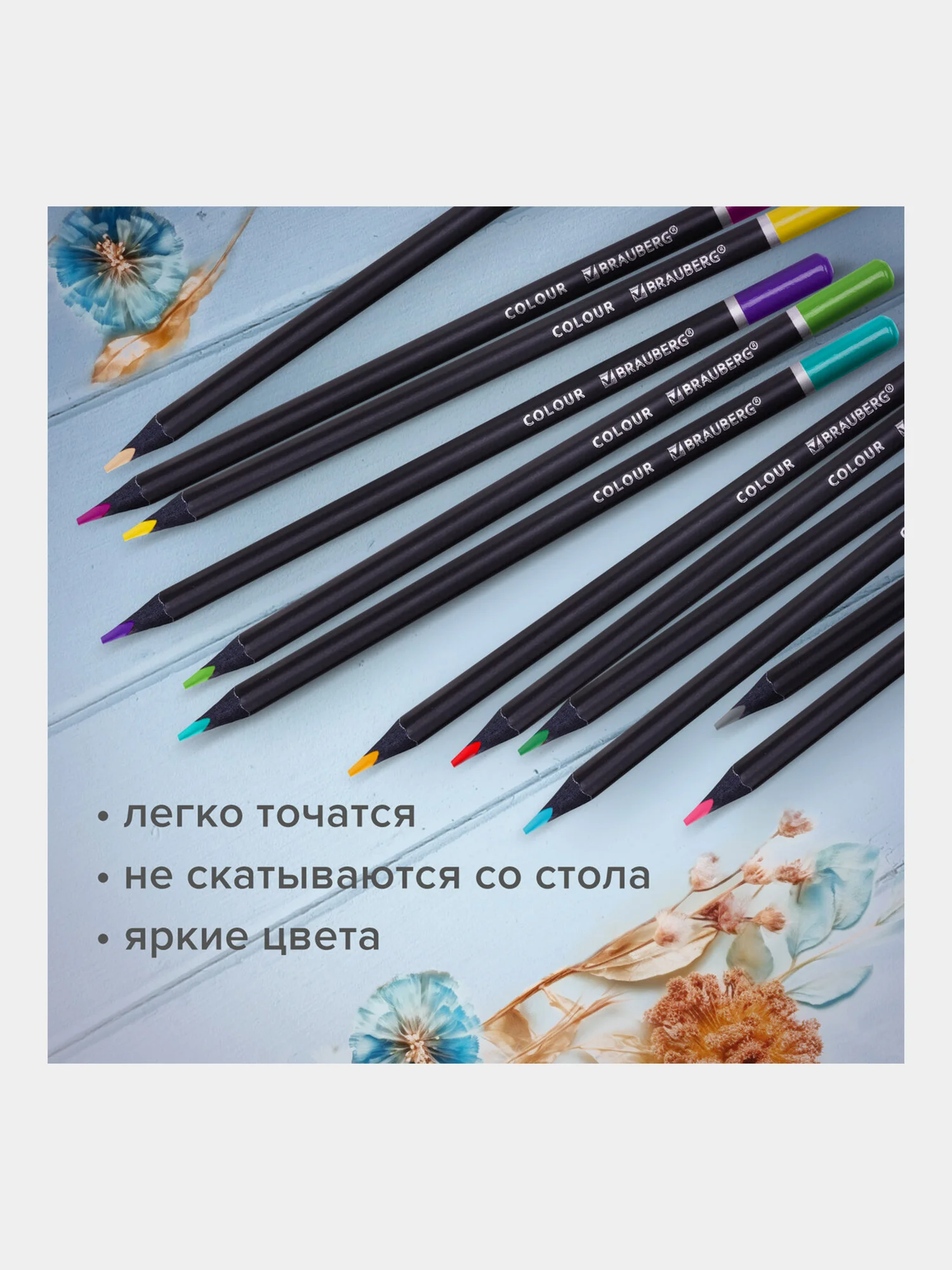 Карандаши цветные для рисования мягкие Brauberg Black Wood, 24 цвета, трехгранные 181949