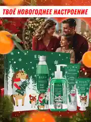 Подарочный набор крем для рук+мыло+гель для душа+крем для тела EDEN Winter mood GREEN