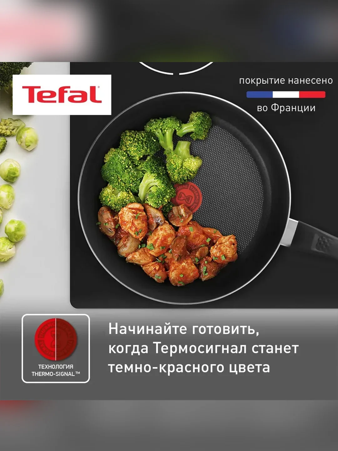 Сковорода с крышкой Tefal Easy Plus 4237924, 24 см