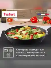 Сковорода с крышкой Tefal Easy Plus 4237924, 24 см