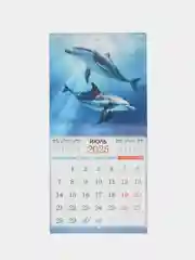 Багровый перекидной настенный календарь на скрепке на 2025 год. 70 видов