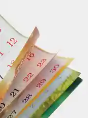 Горчичный перекидной настенный календарь на скрепке на 2025 год. 70 видов