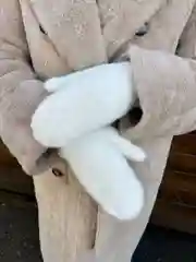 Белый варежки женские
