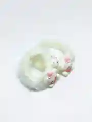Белый резинки для волос