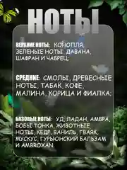 Черный духи по мотивам, 10 мл