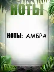 Оранжевый духи масляные, 6 мл