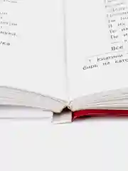 Стихотворения и поэмы Н. Некрасова. Школьная программа