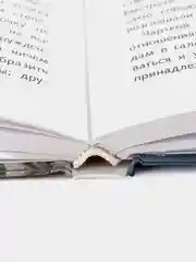 Шинель Н. Гоголя. Школьная программа