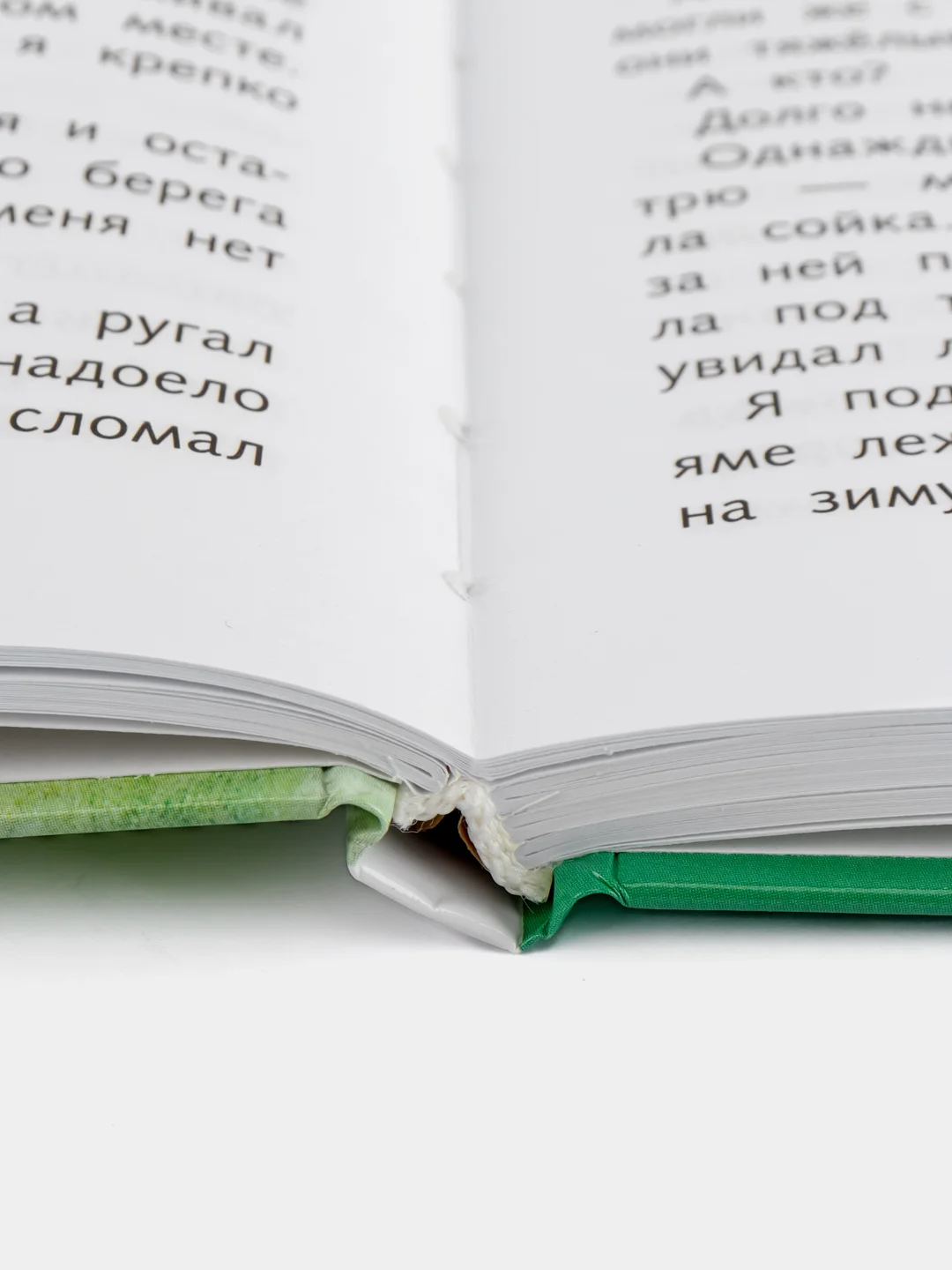 Рассказы о природе Г. Снегирева. Школьная программа