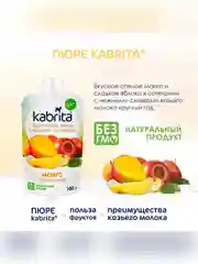 Kabrita® Фруктовое пюре с козьими сливками Манго с яблочным пюре, 100 г