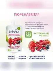 Kabrita® Фруктовое пюре с козьими сливками Лесные ягоды с яблочным пюре, 100г