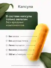 Куркумин c пиперином RestartBio, 250 мг, 90 капсул