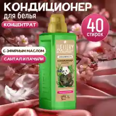 Кондиционер для белья WELLERY ECOEXPERT АромаМягкость, Cантал и пачули, 1л
