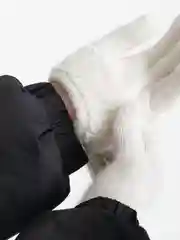 Перчатки женские, вязаные из ангоры, теплые