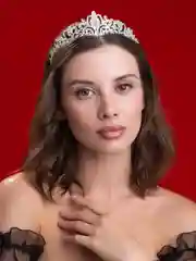 Серый металлик свадебная диадема, корона на голову