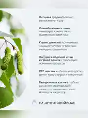 Янтарный дневной крем-эффект для лица Рецепты бабушки Агафьи "Аптечка Агафьи", 55+, 50 мл
