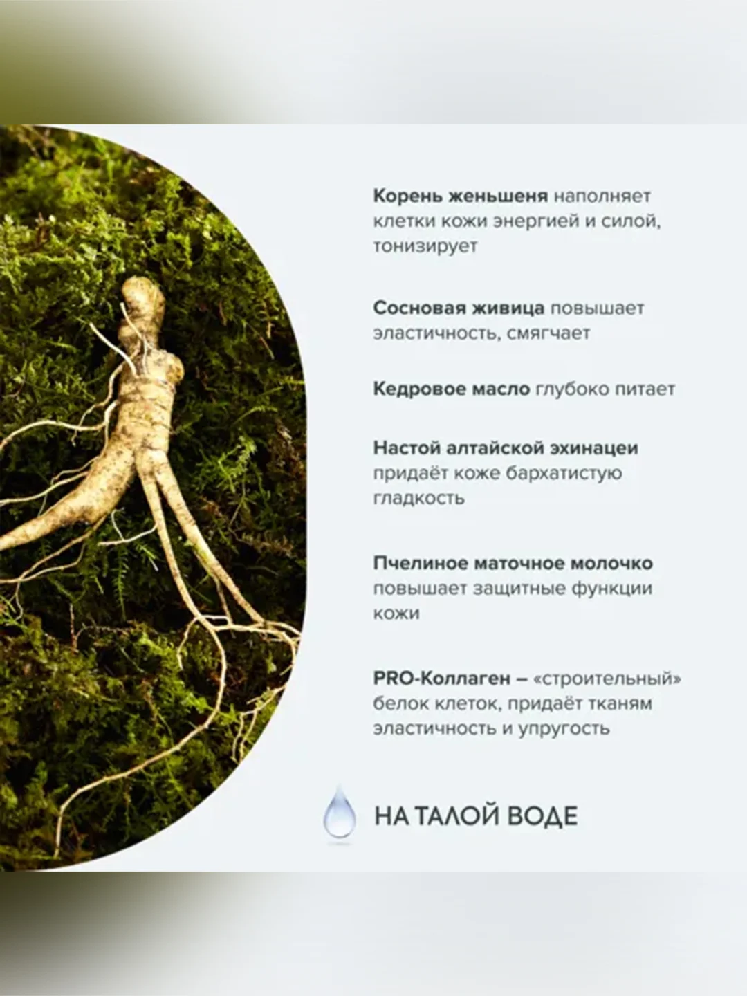 Женьшеневый дневной крем-актив для лица Рецепты бабушки Агафьи "Аптечка Агафьи", 45+, 50мл