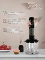 Черный погружной блендер making Oasis everywhere BL-85B