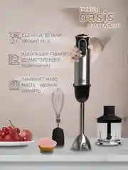 Черный погружной блендер making Oasis everywhere BL-100B