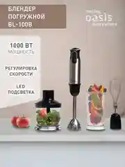 Черный погружной блендер making Oasis everywhere BL-100B