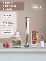 Погружной блендер making Oasis everywhere BL-85W2