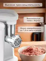 Электрическая мясорубка Dumont DMMG-3001
