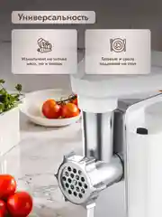 Электрическая мясорубка Dumont DMMG-3001