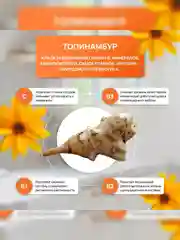 Сироп топинамбура Buttersome Harvest, 1 л
