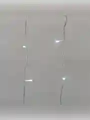 Занавес Neon-Night, прозрачный ПВХ, IP44, мерцающий, 300LED белые, 15 нитей, 20 LED, 2х3 м