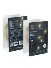 Гирлянда Роса Neon-Night, 100 LED, теплый белый, IP44, на батарейках 3хАА, 8 режимов, 10 м