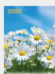 Зелёный хаки календарь листовой настенный на 2025 год А2, 10 видов