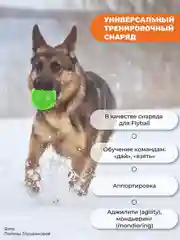 Зеленый мяч для собак лайкер средний