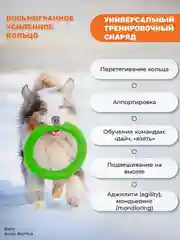 Зеленый игрушка для собак, пуллер кольцо прочное 30.5см 2шт