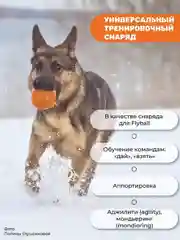 Оранжевый игрушка для собак мяч лайкер, мяч прочный для больших собак