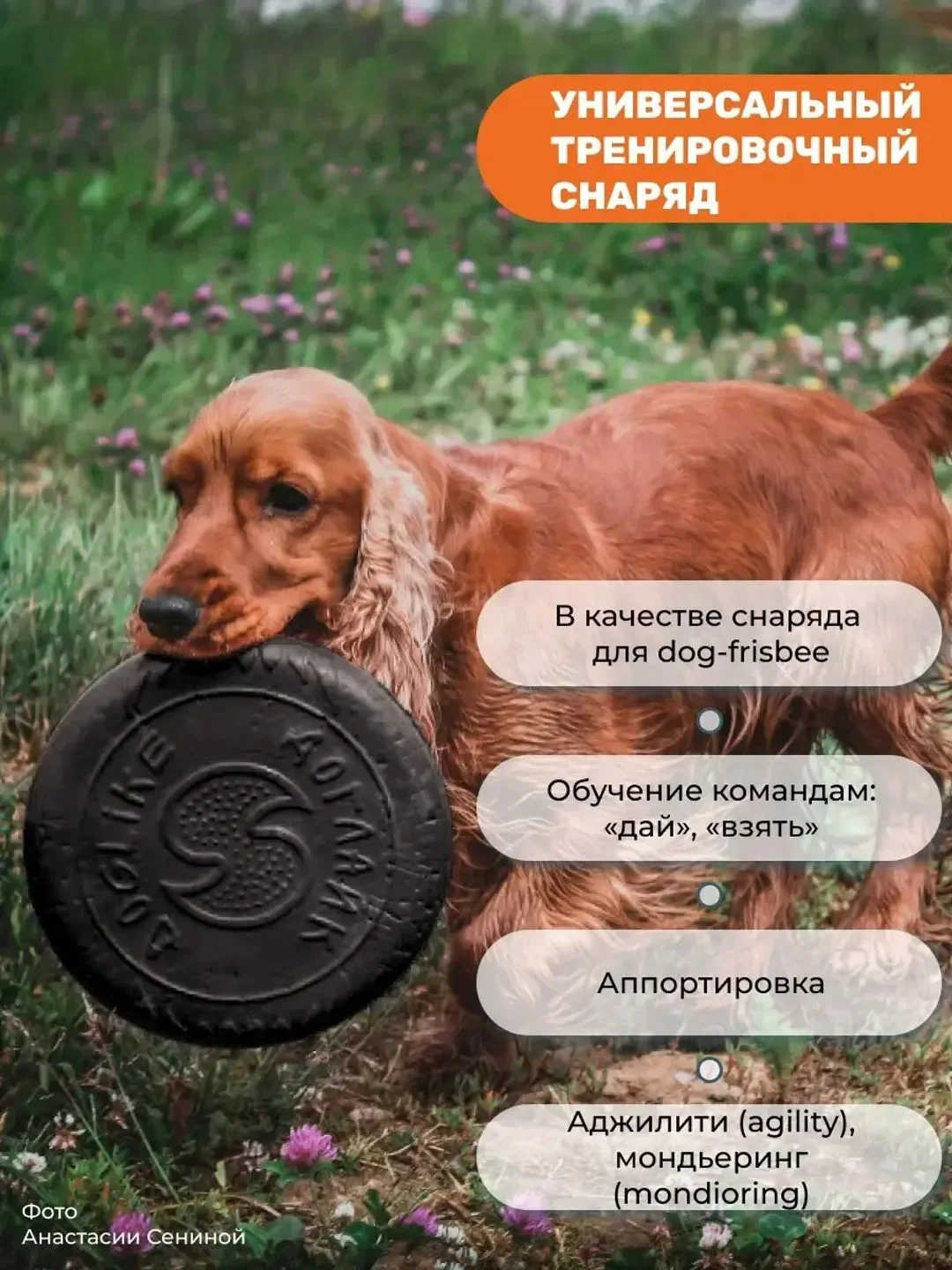 Оранжевый игрушка для собак - тарелка летающая фрисби 25см 2шт