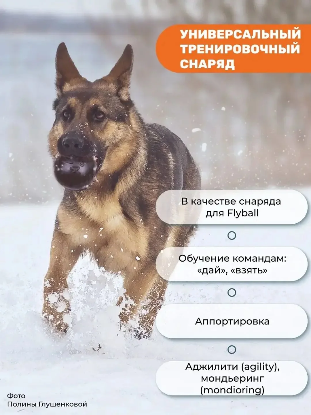 Оранжевый мяч для собак лайкер 2шт